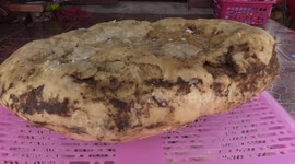 Thai woman, 49, finds 7kg lump of whale vomit ambergris washed up outside her home