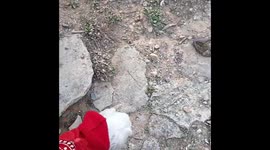 Going for a walk with dog.