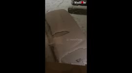 Girl Immerses Face in Snow to Create Funny Face Prints