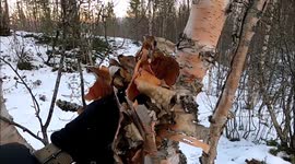 Starting a Fire with Ethanol