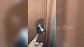 Filipino man terrified by huge spider jumping onto his hand