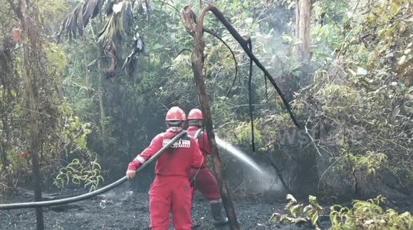 Firefighters extinguish forest fire near Pekanbaru, Indonesia