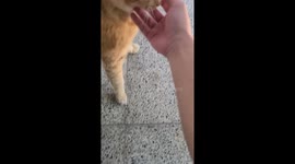 Why do you so love?♡♡