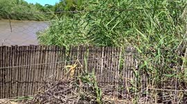 Flood damaged pedestrian footbridge across Orange river on Melkboseiland