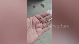 Marble-sized hailstones seen during rare tropical hailstorm in Malaysia