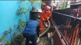 Indonesian firefighters catch 60 kilo python inside chicken coop