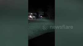 Hungry bear rampages through picnic area looking for food