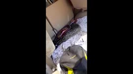 Huge snake strikes at me