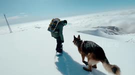Faithful canine runs alongside his owner as they snowboard down a mountain