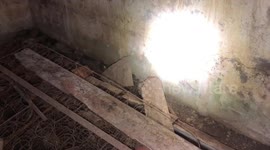 Rattlesnakes in a storm cellar