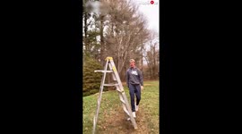 'Minnesota Man Dancing with a Ladder on his Face'