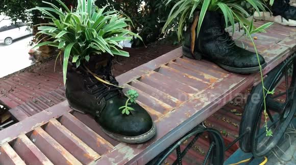 These roots were made for walking! Vietnamese cafe uses old shoes as plant pots