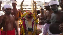 A lavish buriel ceremony and a funeral procession was held in Tamilnadu for the death of their heroic and a loyal bull