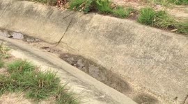 Boy, 8, drowns after playing in canal and getting dragged into drainage pipe