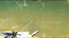 Best fishing trip..real inner jungle national park