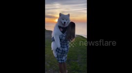 The dog likes to be carried in the hands of its owners (part 2)