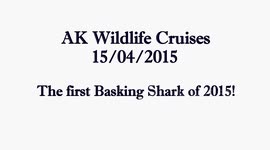 Basking Shark #1 2015