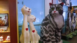 World's first cat museum in Kuching,Malaysia
