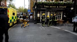 Bear and Staff Accident