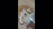 temp