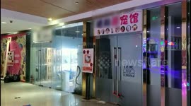 Chinese pet store shuts down after controversy over its 'rent-a-cat' service