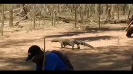 Komodo Dragons and Padar Island East Nusa Tenggara Indonesia before the pandemic in Indonesia