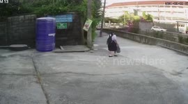 Aggressive dog chases schoolgirl and bites her in Thailand