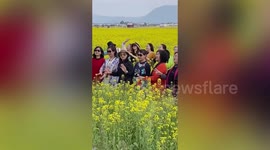 Field owner angry after group of women trample on flowers to take video in China
