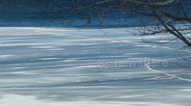 Bone Chilling Winds across frozen waters in Atlantic Canada.