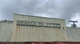 Hawaii Business on Oahu closed due to flood | Sign on door shows business had to close because of the flash flood on Oahu