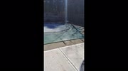 temp