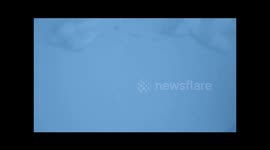 Deep Snow In The Mid South And It's Still Falling Freaking Crazy