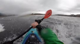 Heart-stopping moment seal flips on top of kayak - nearly causing it to capsize
