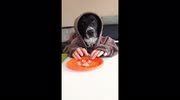 temp