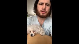 I’m hard in the paint with a littl white sniffer named Katie