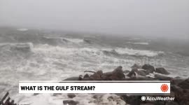 What is the Gulf Stream?