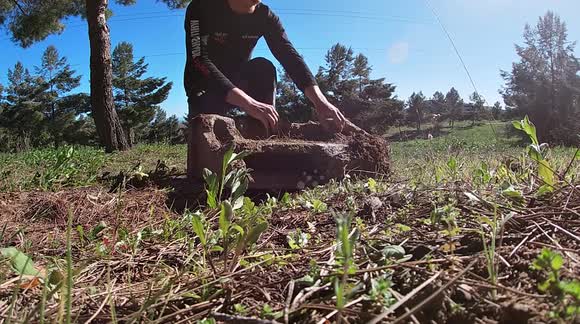 Clever Girl! Lizard Out Smarts Wildlife Photographer With Daring Escape!