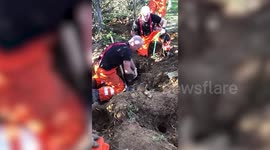 This is the moment firefighters pulled a puppy to safety after it was trapped for down a rabbit hole for seven hours