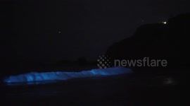 Stunning waves of bioluminescence delight beachgoers in California