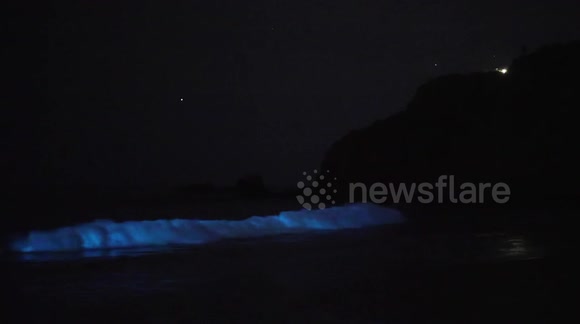 Stunning waves of bioluminescence delight beachgoers in California