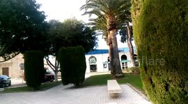 Palma de Mallorca,,........,,.............,..,........,........