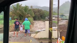 Kids checking out raging water coming from the mountains after flash flood in hawaii on Oahu after days of heavy rain