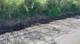 Flash flood cleanup hawaii Oahu, heavy equipment to clean after landslide
