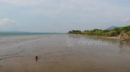 Shell collector pushes through wet sand while searching for food