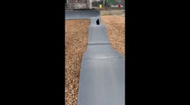 ''Run Dude Run!' Cute Poodle Loves to Run the Pump Track'