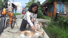 Meet the 10-year-old Indonesian girl who cycles city streets to feed stray cats