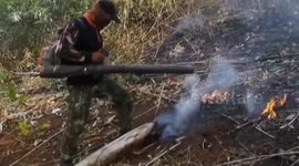 Baby owl rescued from wildfires in forests in northern Thailand