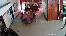 Scared woman jumped on a dining table after almost stepping on a snake