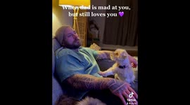 Paws-itively the cutest! Oklahoma veteran cannot stay angry at precious little dog's paw gesture
