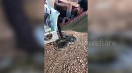 Wild python tries to bite man relaxing on a hammock in Thailand